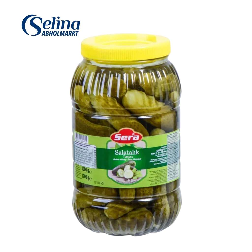 Eingelegte Gurken / Salatalik Turșusu